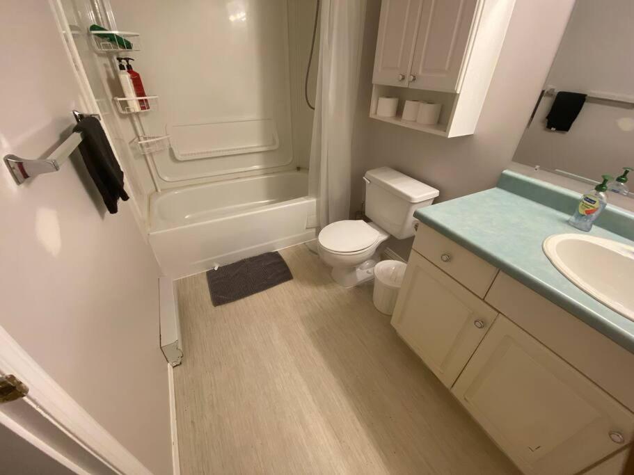 Artistic Apartment Near Downtown Victoria Dış mekan fotoğraf