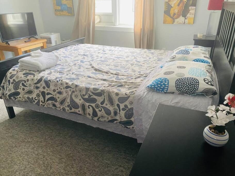 Artistic Apartment Near Downtown Victoria Dış mekan fotoğraf